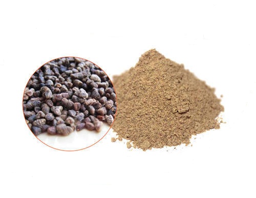 Jamun Seed Extract